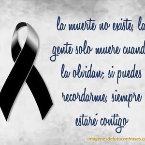 Meet your Posher, Elsa